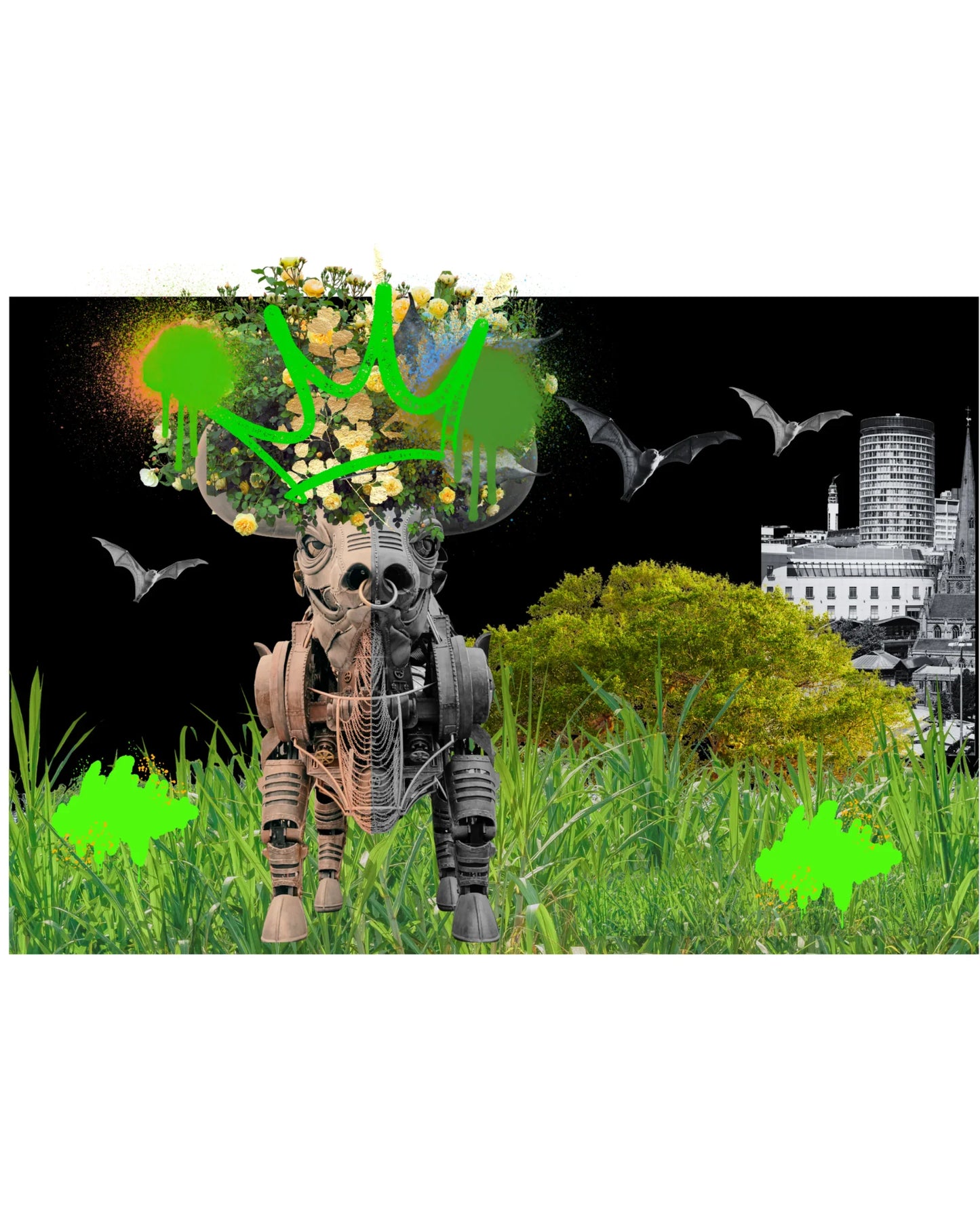 Ozzy in the Wild Brum King - Rare Limited Edition 10