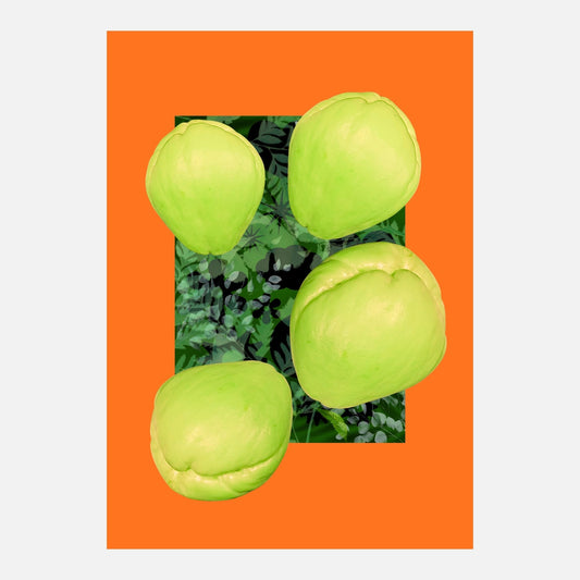 Cho Cho collage — A4 Limited Edition (25)