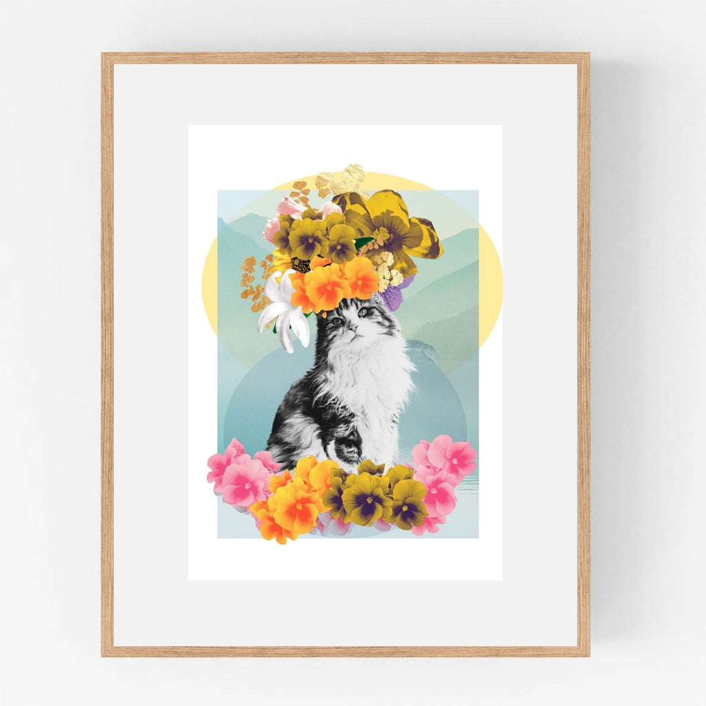 Pet Portraits