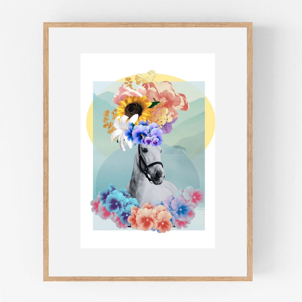 Pet Portraits