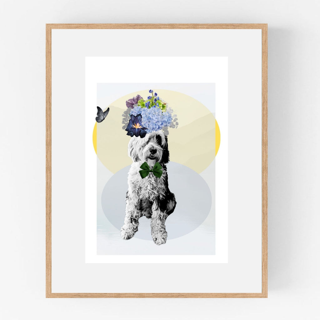 Pet Portraits