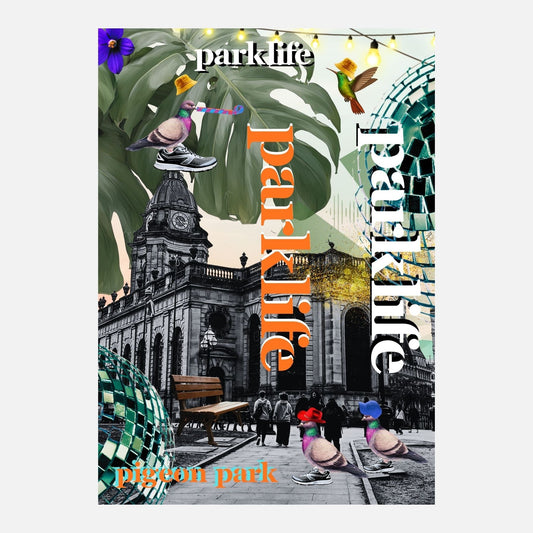 Pidgeon Park Life (in Orange) limited edition fine art print