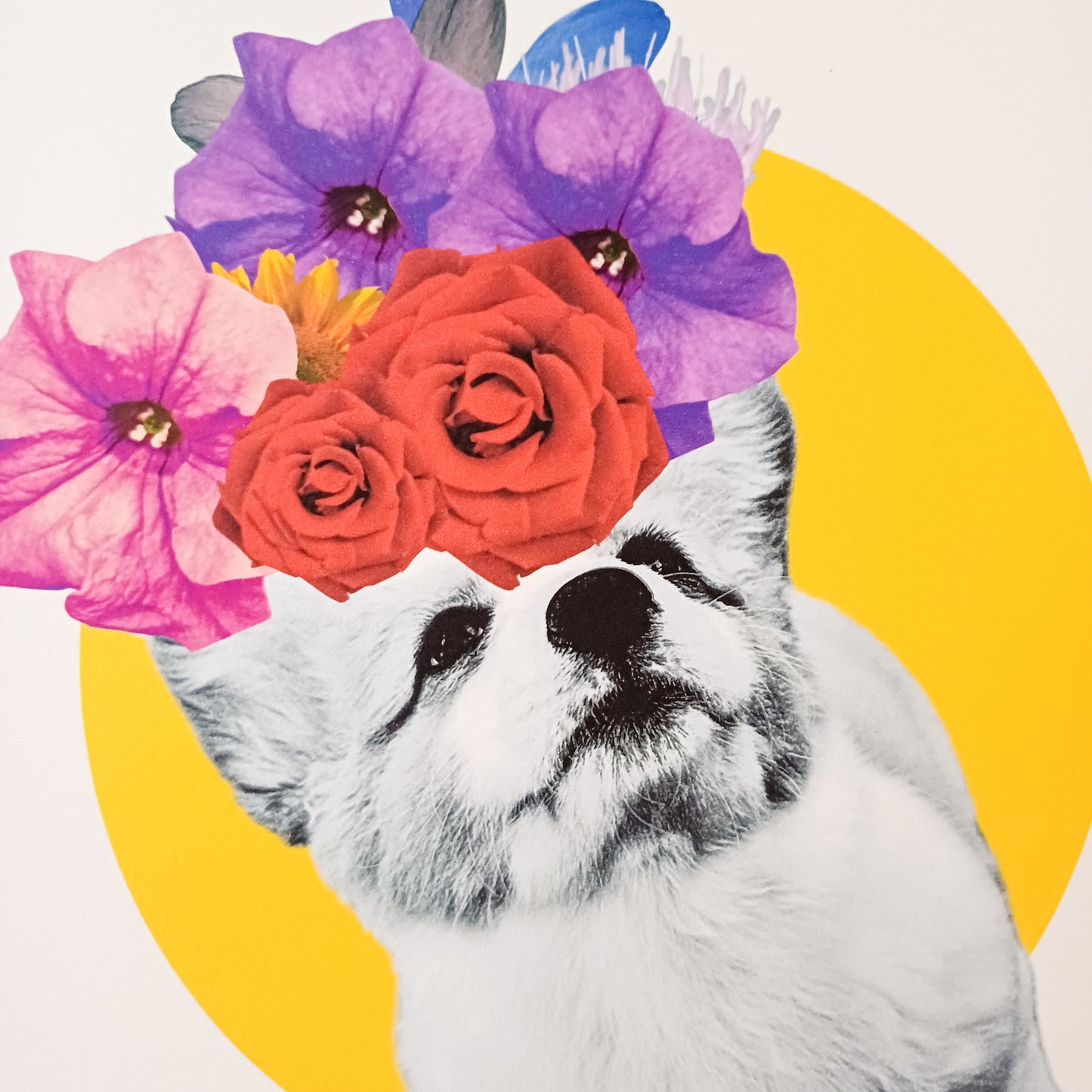 Your So Corgi - Floral dog collage