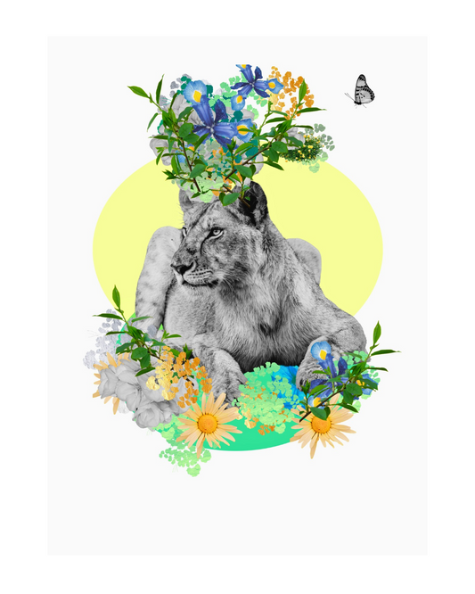 Lioness – Art Print