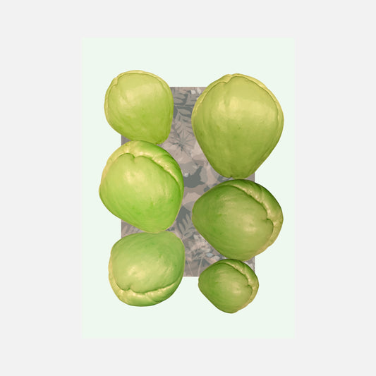 Cho Cho collage — A4 Limited Edition (25)