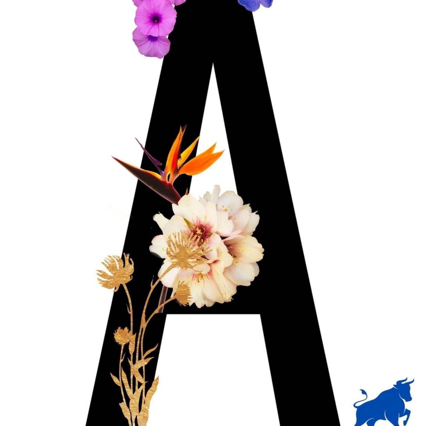 Alphabet Monogram open edition fine art prints