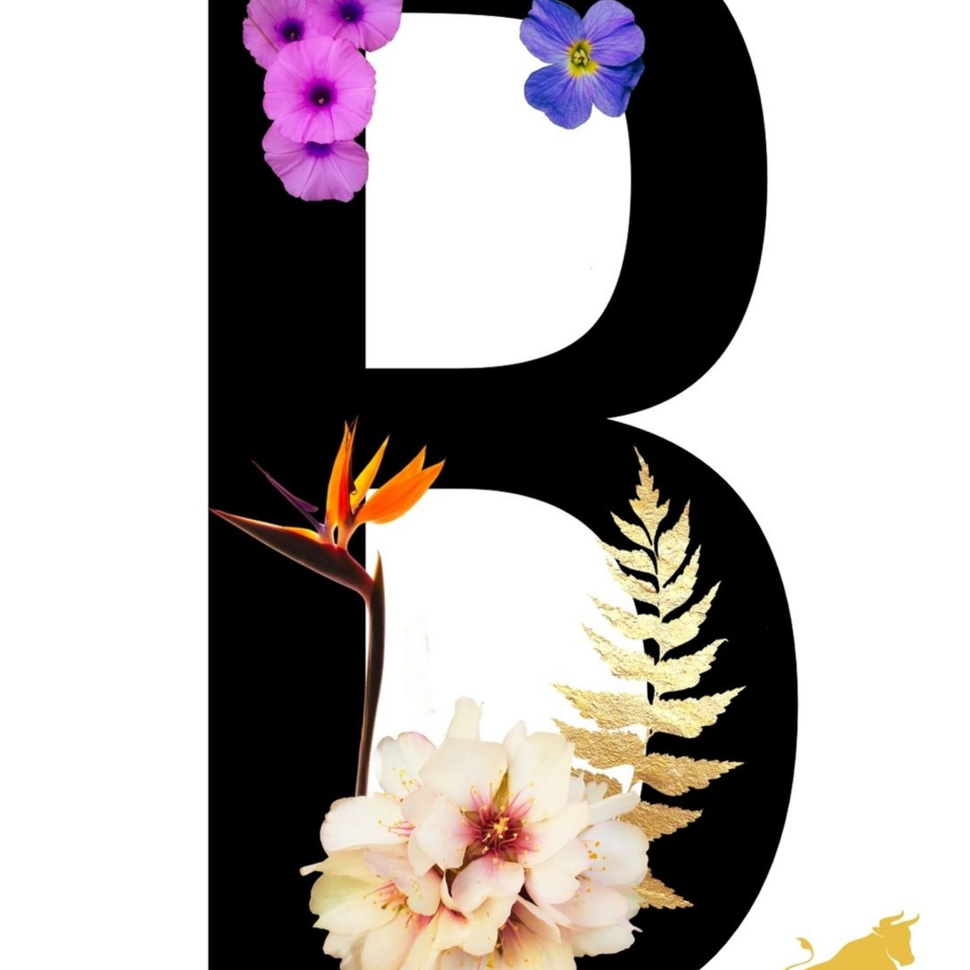 Alphabet Monogram open edition fine art prints