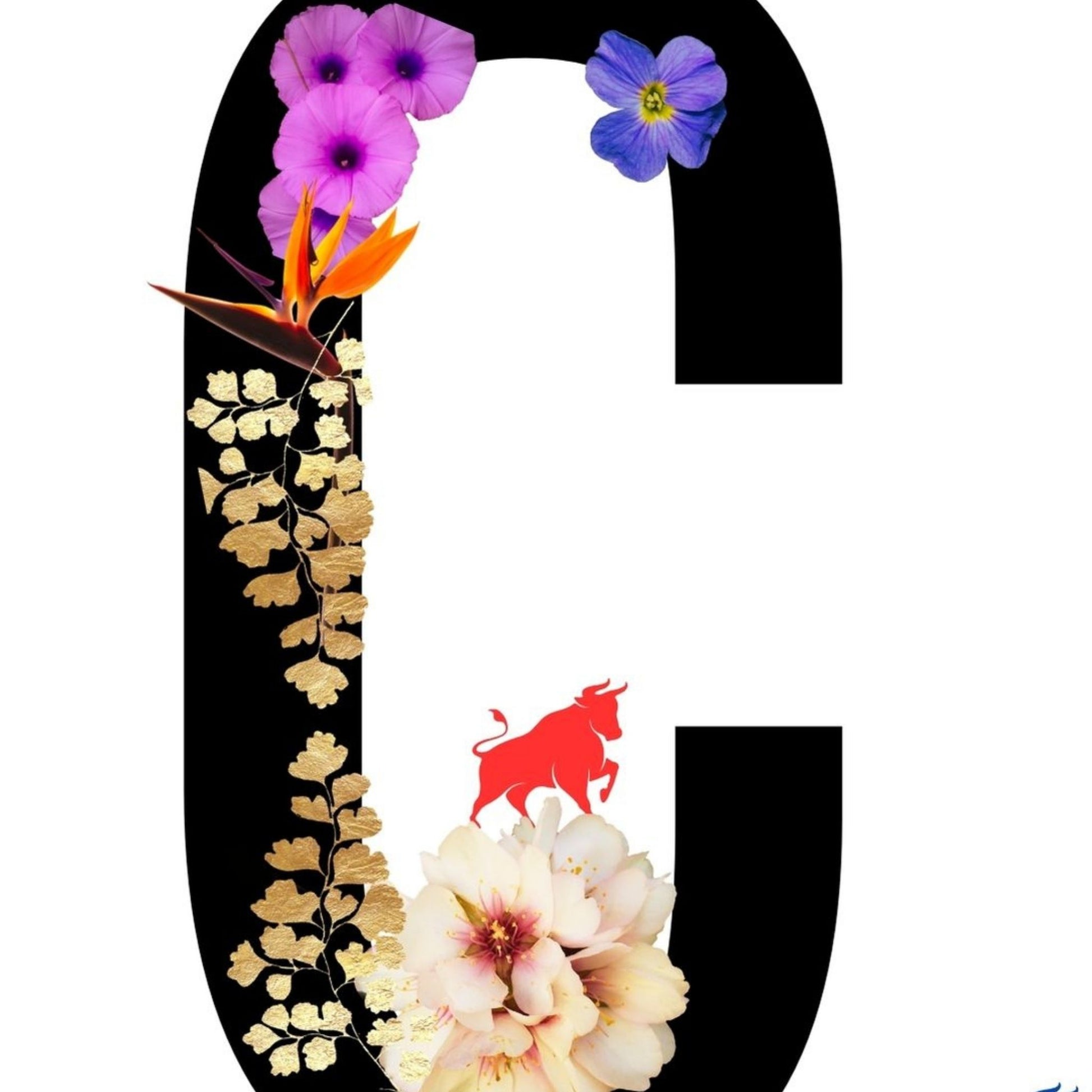 Alphabet Monogram open edition fine art prints