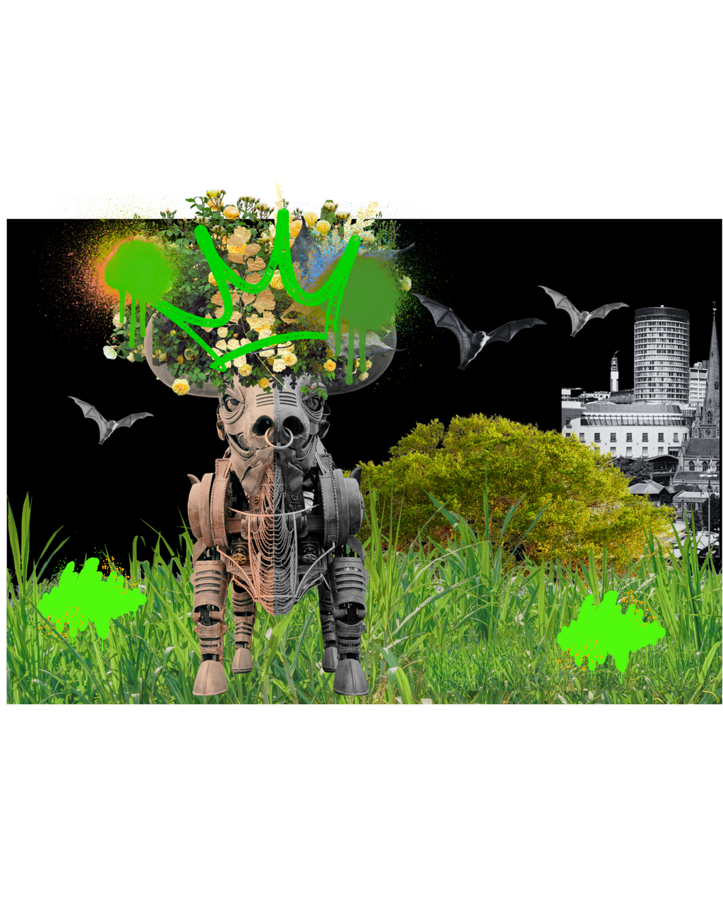 Ozzy in the Wild Brum King - Rare Limited Edition 10