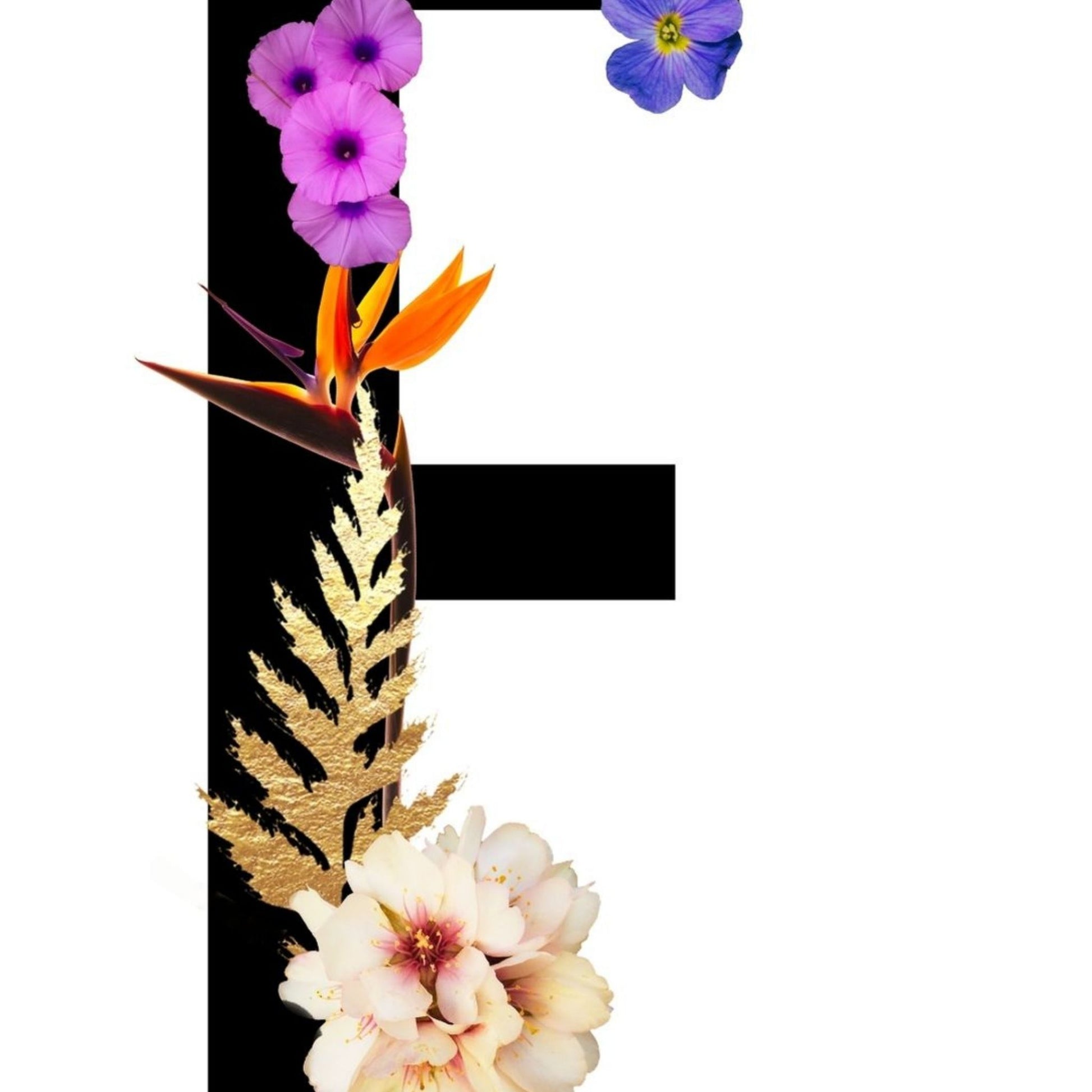 Alphabet Monogram open edition fine art prints