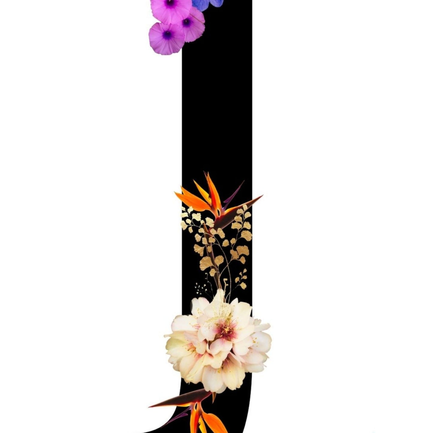 Alphabet Monogram open edition fine art prints