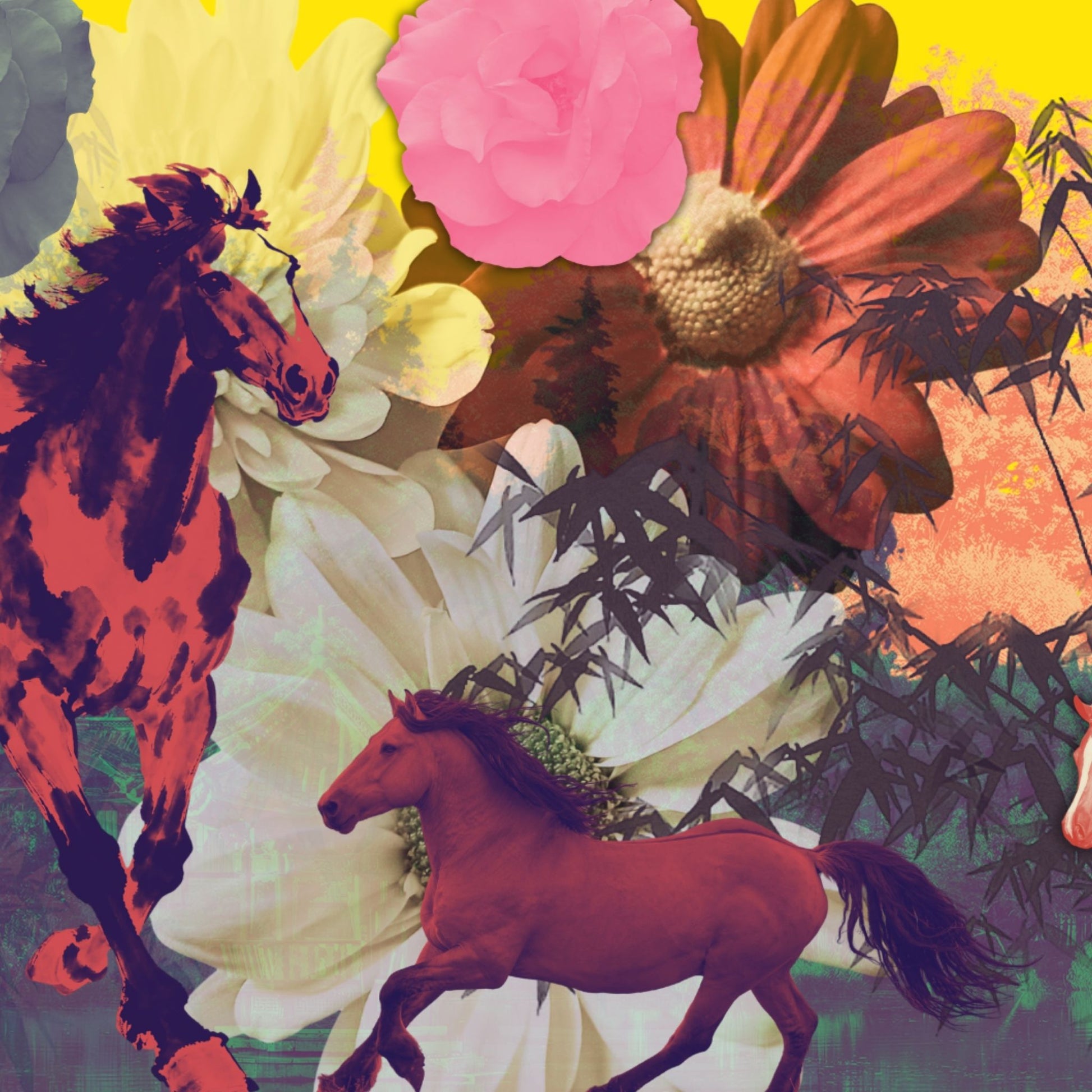 Untamed (in Yellow) limited edition fine art print