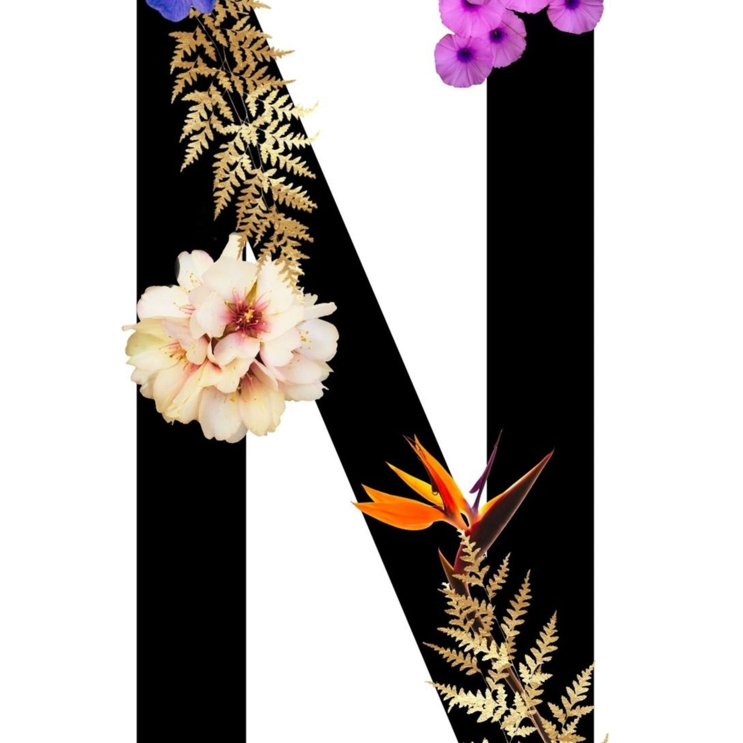 Alphabet Monogram open edition fine art prints