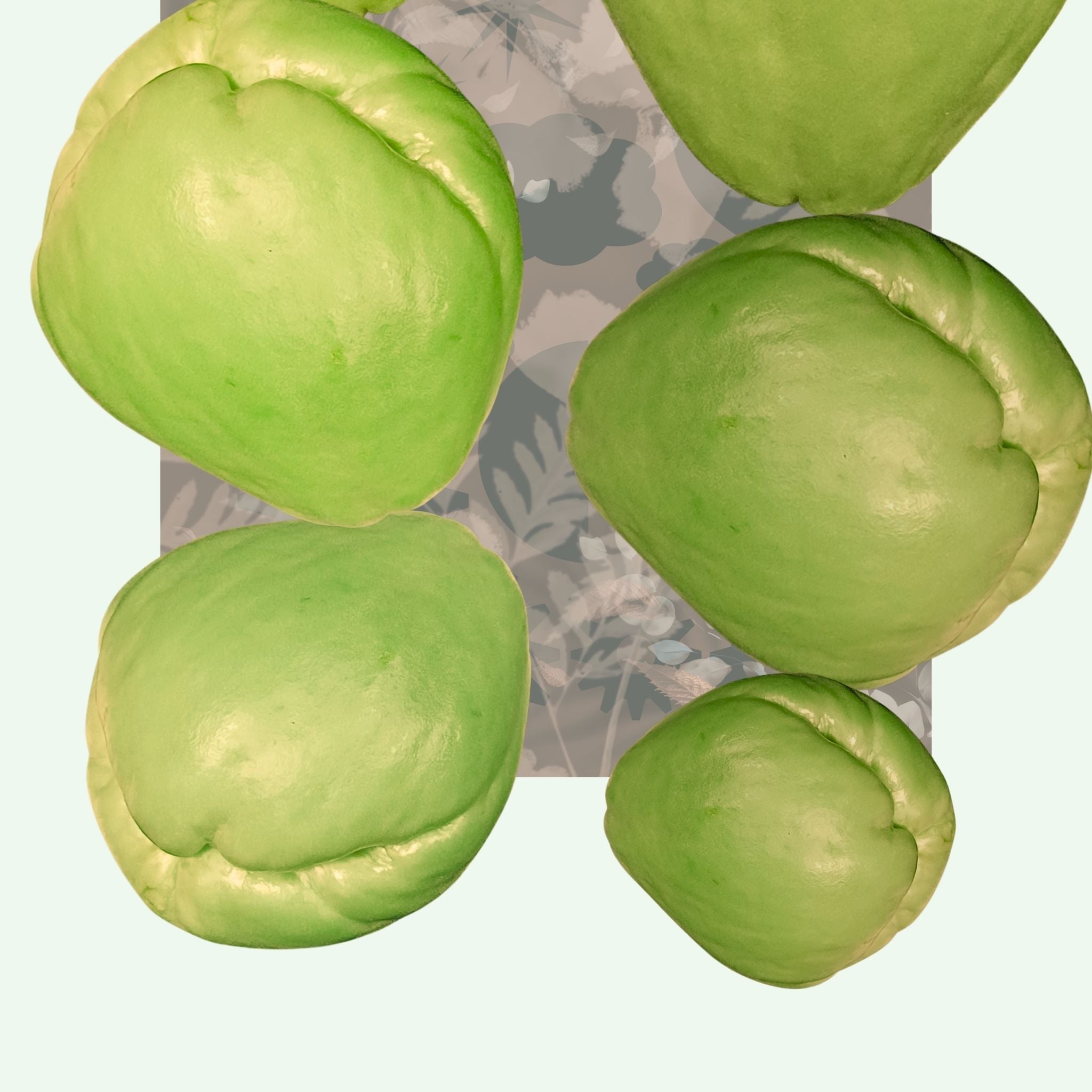 Cho Cho collage — A4 Limited Edition (25)