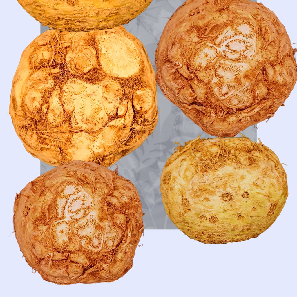 The Humble Celeriac collage — A4 Limited Edition (25)