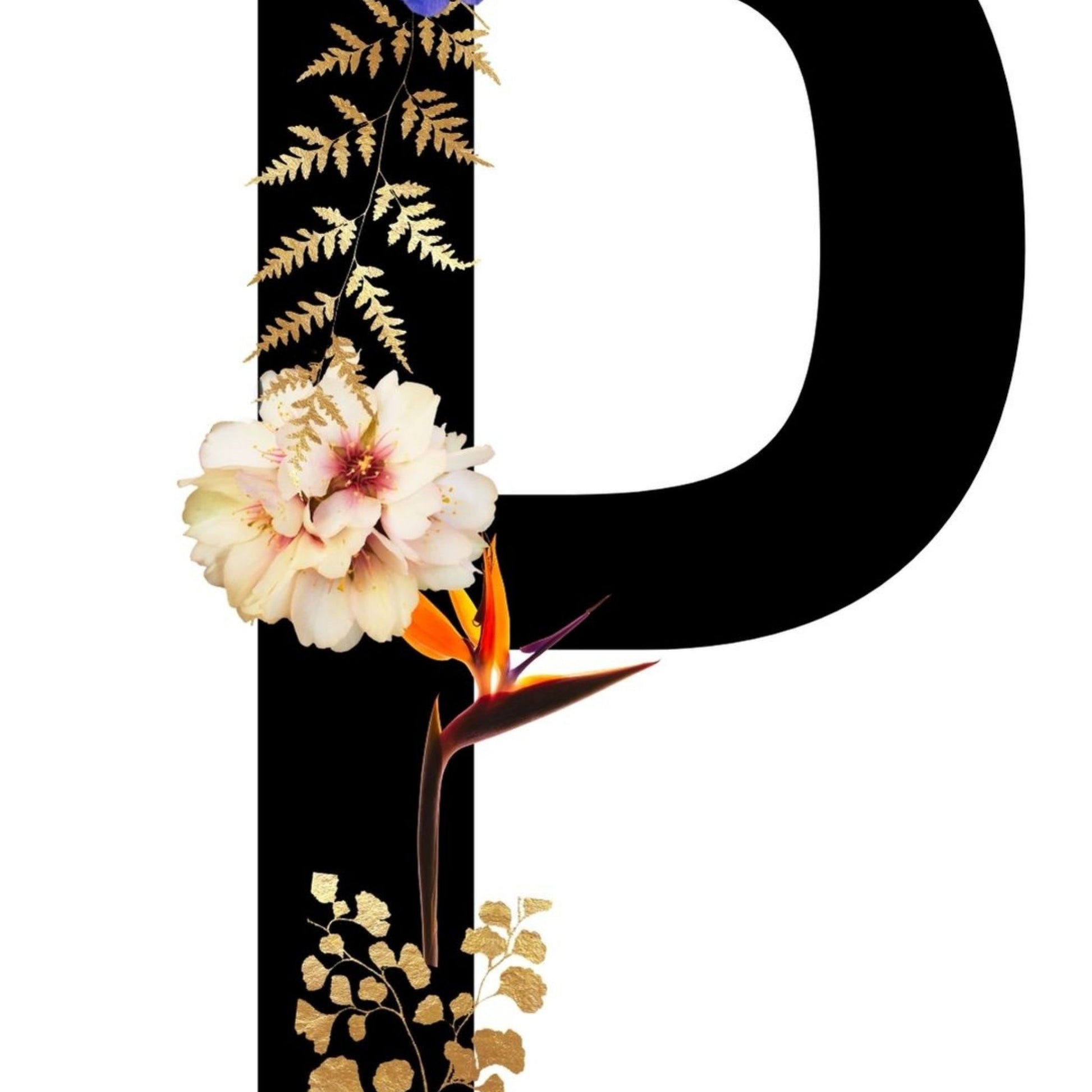 Alphabet Monogram open edition fine art prints