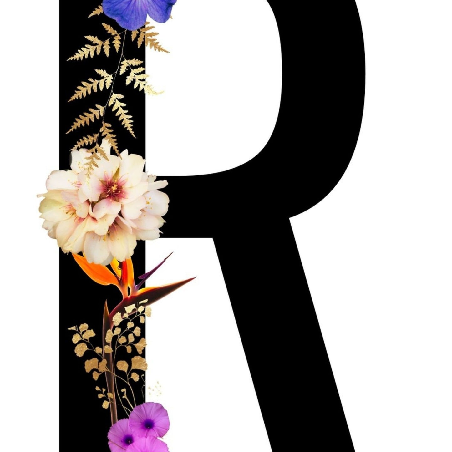 Alphabet Monogram open edition fine art prints