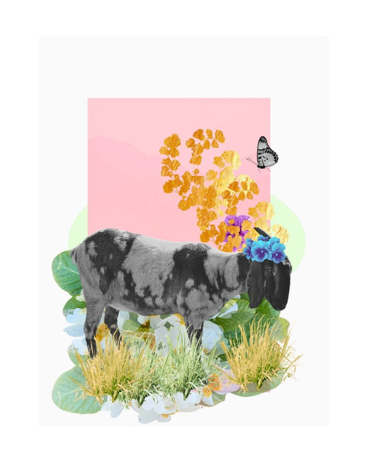 The Playful Wanderer (Goat)