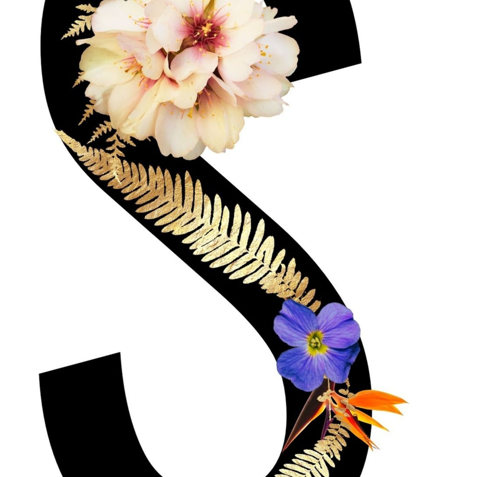 Alphabet Monogram open edition fine art prints