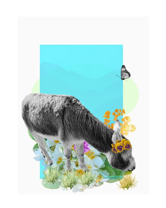 The Grazing donkey