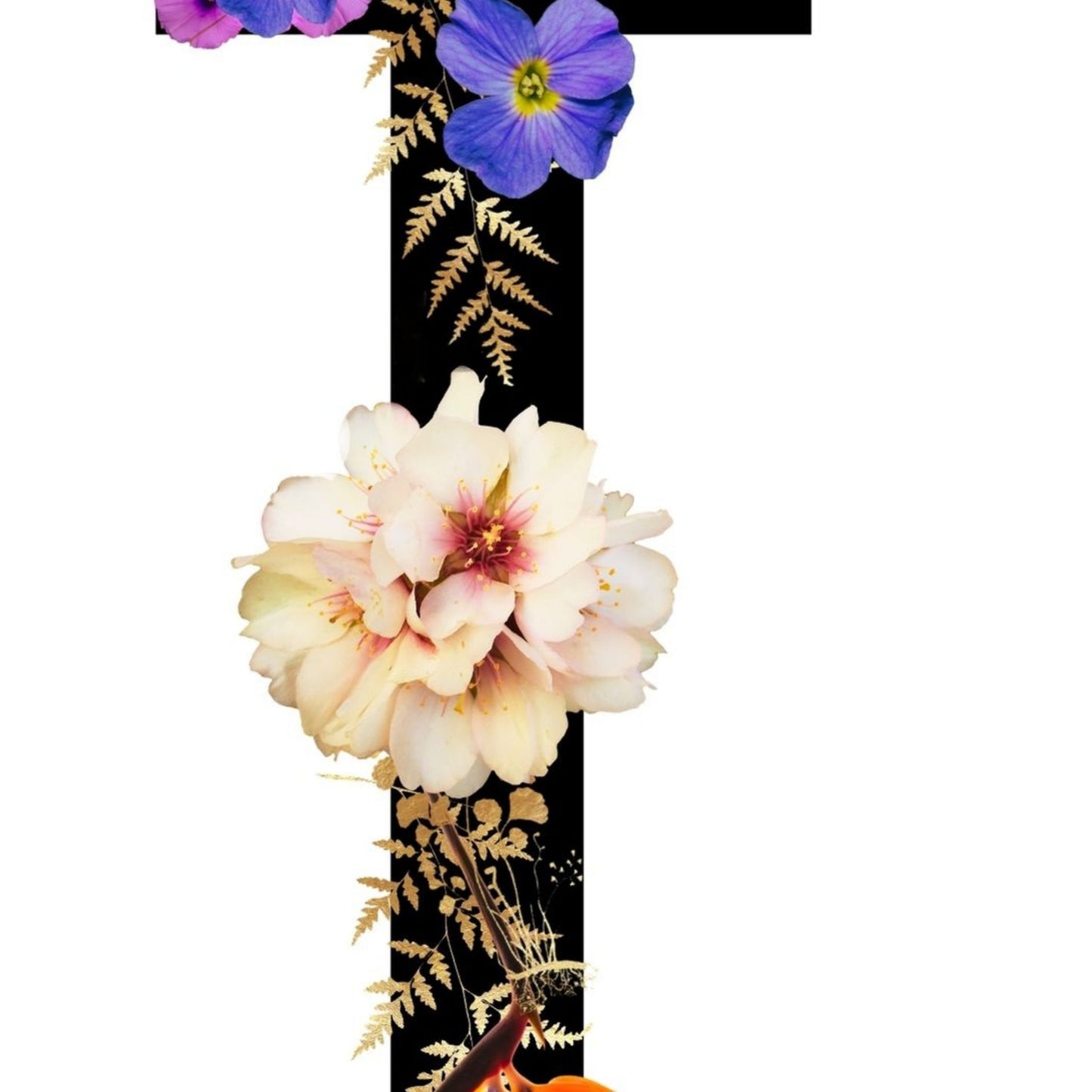 Alphabet Monogram open edition fine art prints