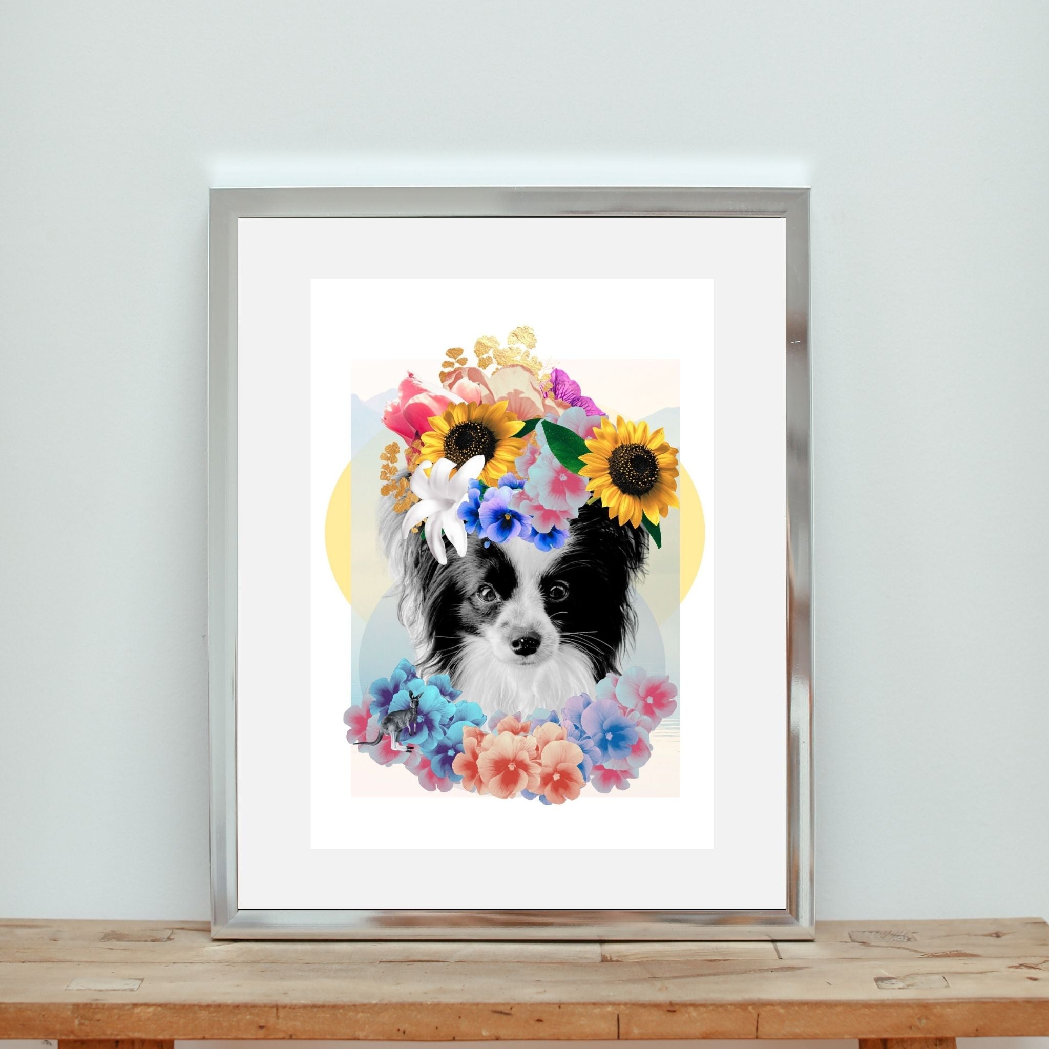 Pet Portraits