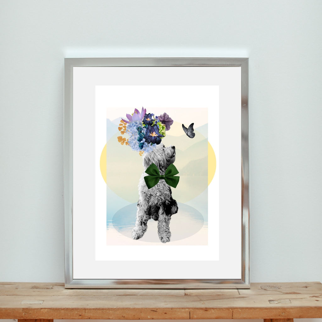 Pet Portraits
