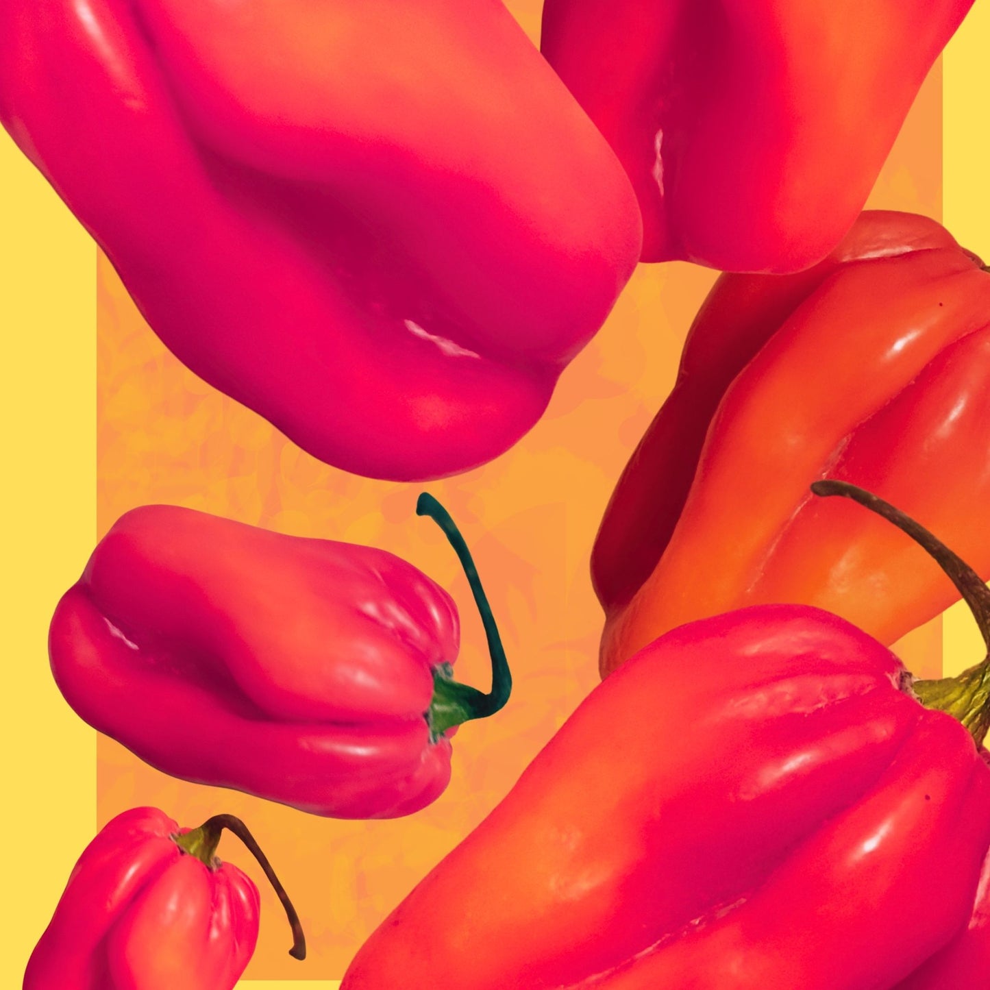 Contained Heat - Scotch Bonnet limited edition fine art print