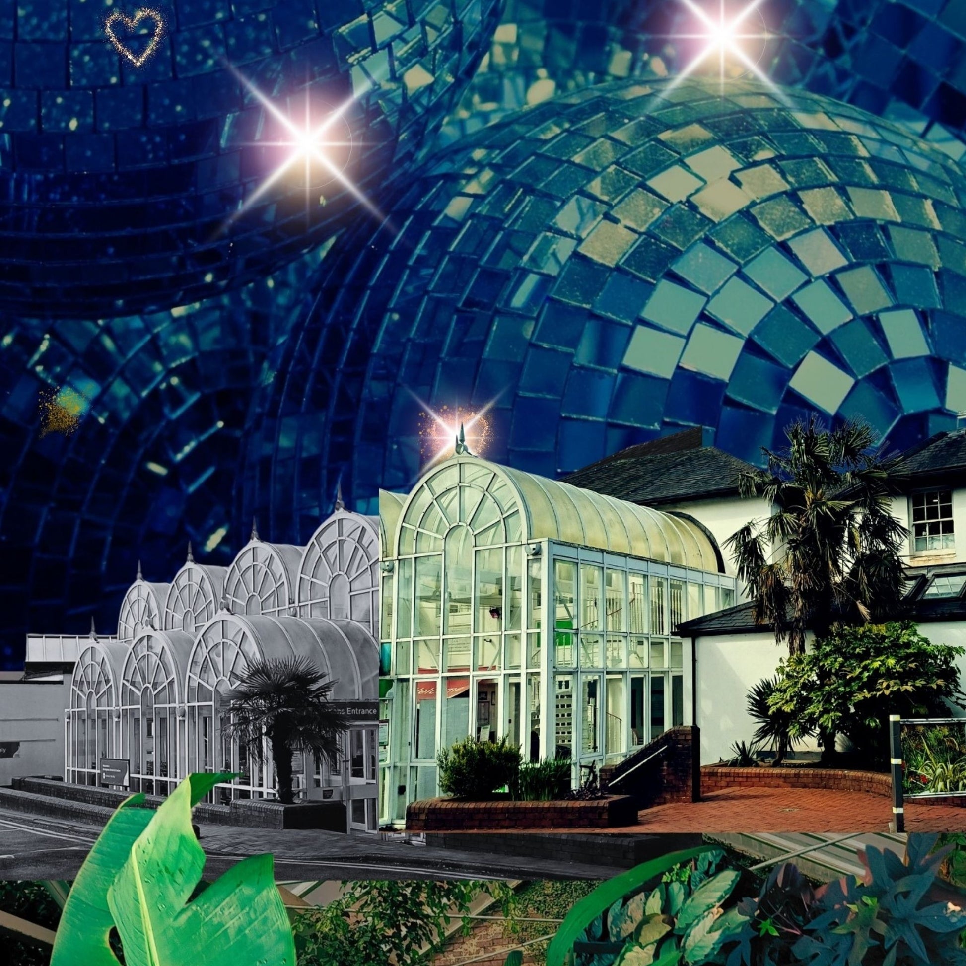 Botanical Garden Collage — A4 Limited Edition (25)