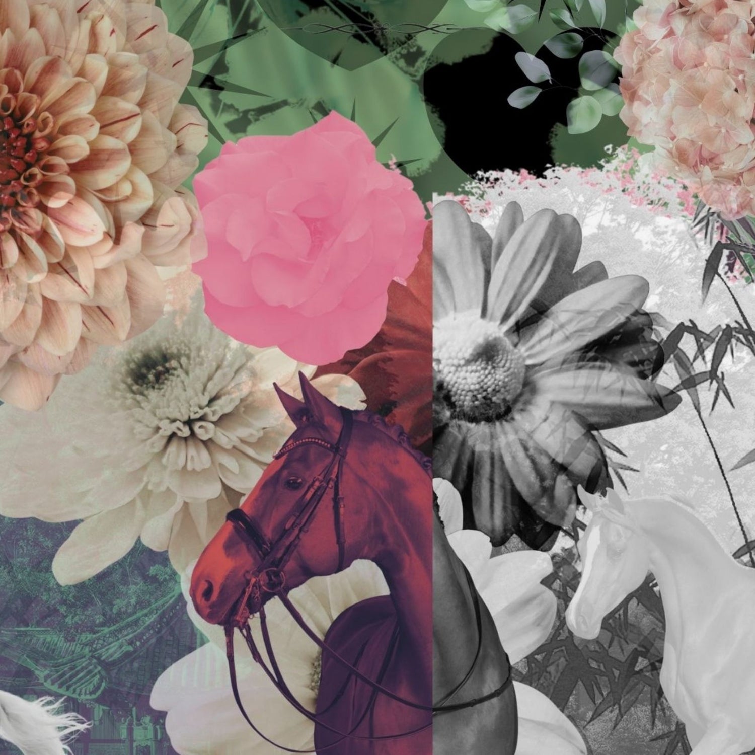 The Body Remembers Fields (in Noir and Green) limited edition fine art print