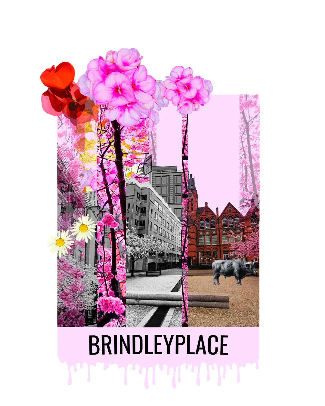 Brindleyplace Cherry Blossom Print
