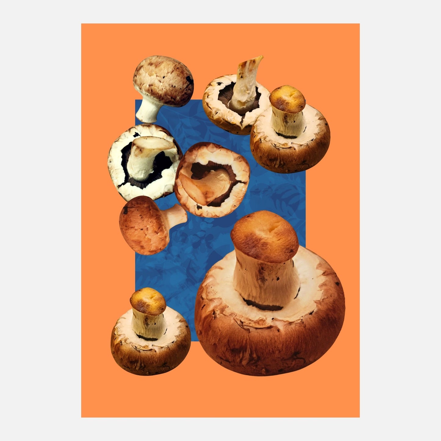 Edible Architecture - Mushroom limited edition fine art print