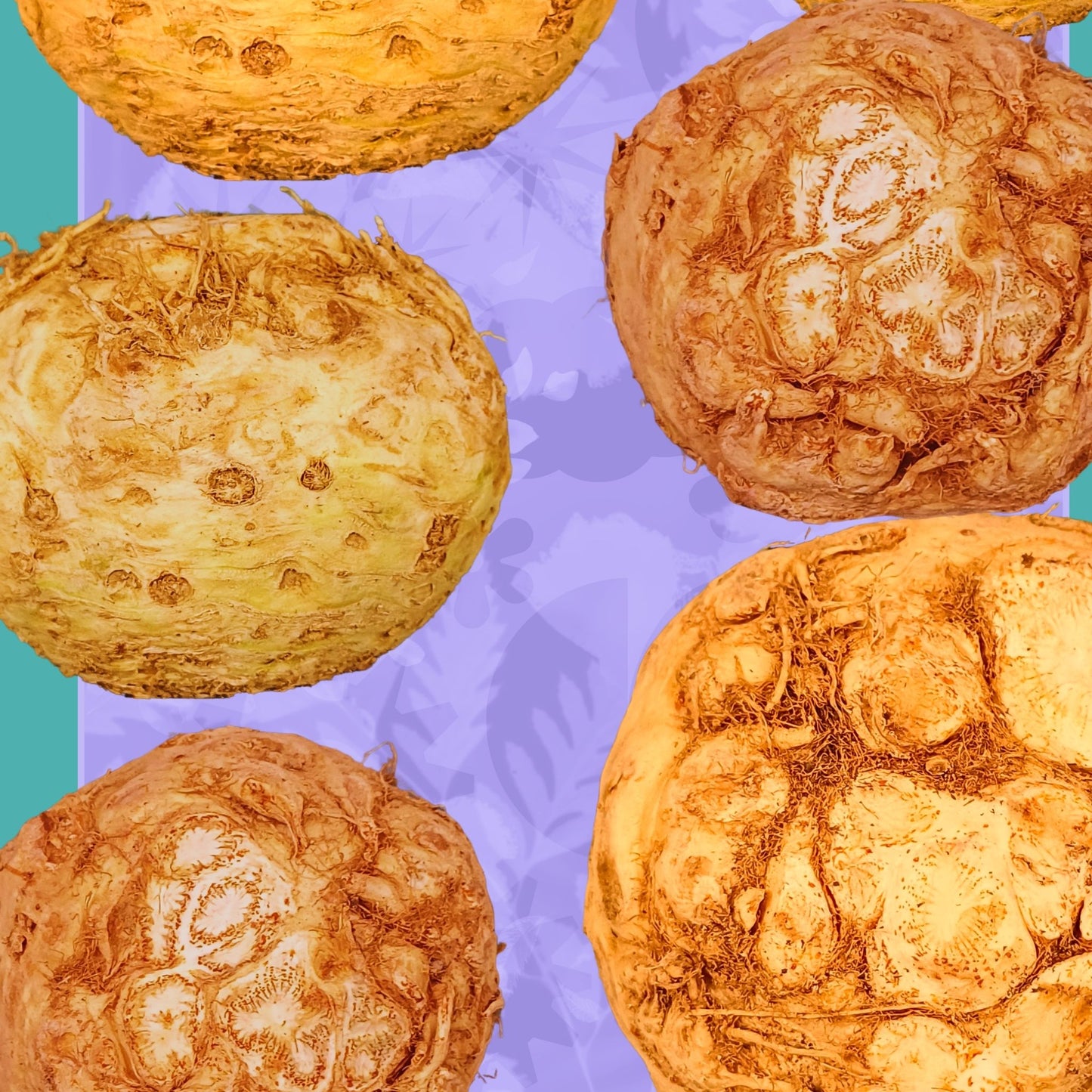 The Humble Celeriac collage — A4 Limited Edition (25)