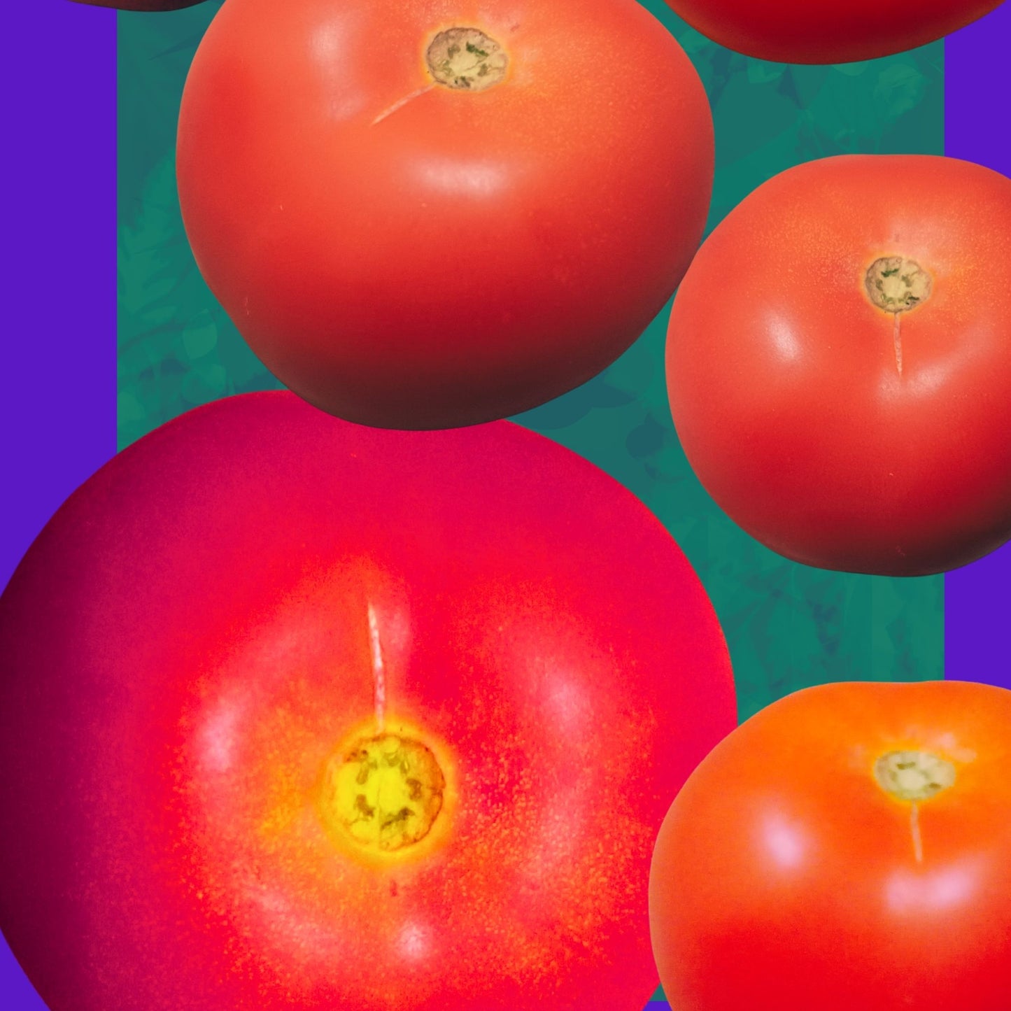 Domestic Orbits - Tomato collage — A4 Limited Edition (25)