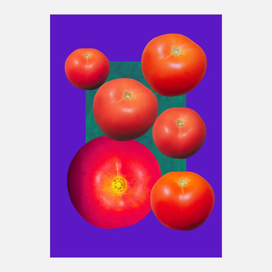 Domestic Orbits - Tomato collage — A4 Limited Edition (25)