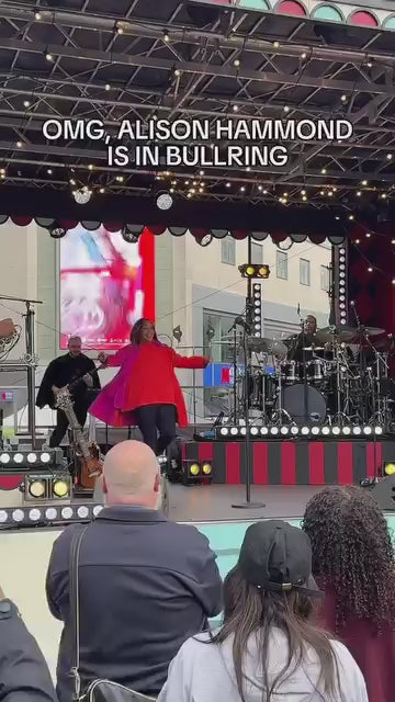 BAB stud Earrings Wear The Bull UK — MADE TO ORDER